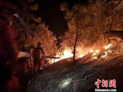澳门银河官网： 现丽江市森林消防支队继续由北向东扑打